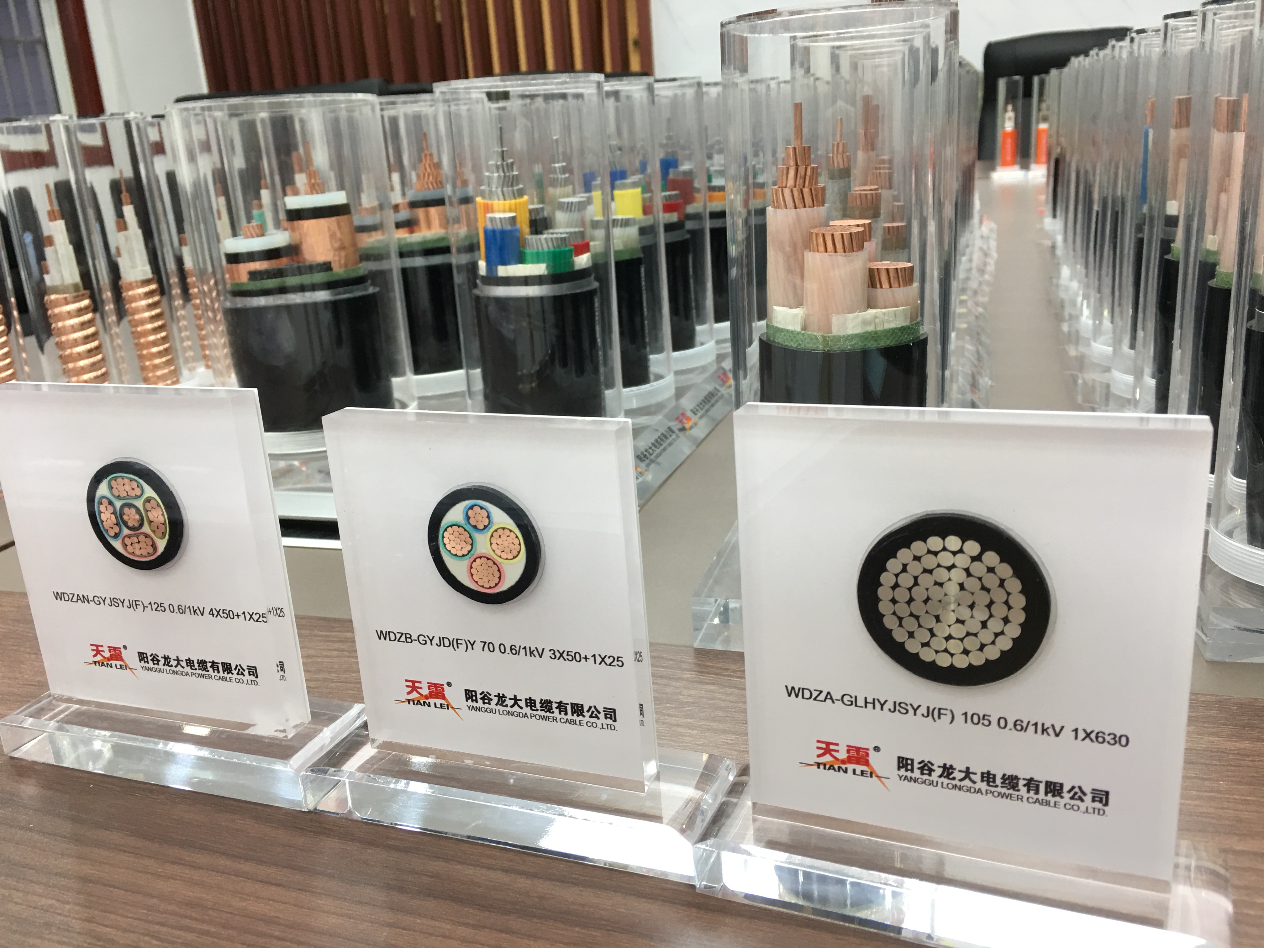 陽(yáng)谷龍大電纜有限公司